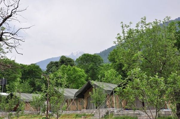 Natures Outpost Camps Manali